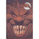 Trolls De Troy , Coffret T.1 A T.4 - Christophe Arleston , Jean-louis Mourier