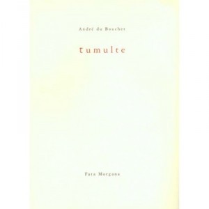 Tumulte - Andre Du Bouchet