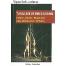 Tumultes Et Indignation , Conflit, Droit Et Multitude Chez Machiavel Et Spinoza - Filippo Del Lucchese