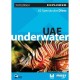 Uae Underwater - Collectif