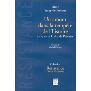 A Love In The Storm - Aude Yung-de vaux