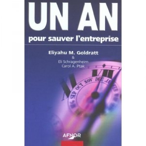 One Year To Save The Company - Eliyahu Goldratt-m, Carol has Ptak, Eli Schragenheim