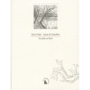 Un Arbre En Hiver - Patier , Lezardie