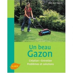 A Beautiful Lawn - Jean-Paul Guerin