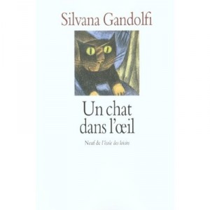 Un Chat Dans L'oeil - Silvana Gandolfi