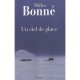 Un Ciel De Glace - Mirko Bonne
