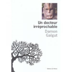 Un Docteur Irreprochable - Damon Galgut