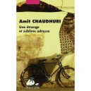 Une Etrange Et Sublime Adresse - Amit Chaudhuri