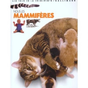 Nous Les Mammiferes - Steve Parker