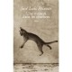 Une Maison Dans Les Tenebres - Jose Luis Peixoto