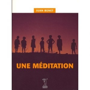 Une Meditation - Juan Benet
