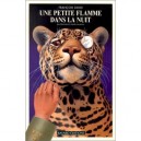 Une Petite Flamme Dans La Nuit - Francois David