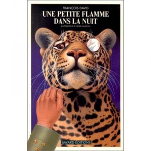 Une Petite Flamme Dans La Nuit - Francois David