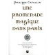 Une Promenade Magique Dans Paris , Avec Les Inities, Les Sorciers Et Les Alchimistes, L'itineraire Secret Du Vieux Paris - Phil