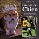 Une Vie De Chien , Les Compagnons Fideles Des Grands De Ce Monde - Stephane Bern