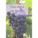 Une Vigne Au Jardin - Benoit Priel