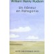 Un Flaneur En Patagonie - William-henry Hudson