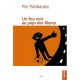Un Fou Noir Au Pays Des Blancs - Pie Tshibanda