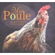 Ma Poule - Mary-gerard Vaude