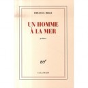 Un Homme A La Mer - Emmanuel Merle