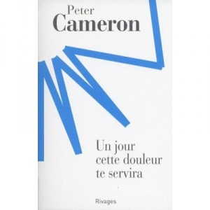 Un Jour Cette Douleur Te Servira - Peter Cameron