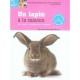 Un Lapin A La Maison - Christophe Bulliot