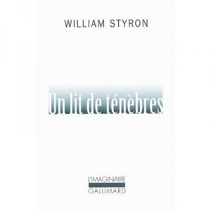 Un Lit De Tenebres - William Styron