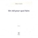 Un Nid Pour Quoi Faire - Olivier Cadiot