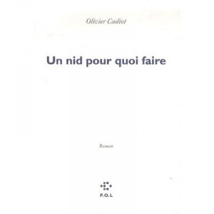 Un Nid Pour Quoi Faire - Olivier Cadiot
