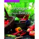 Un Potager Sur Mon Balcon - Collectif