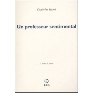 A Sentimental Professor, notebooks - Catherine Henry