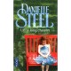 Un Si Long Chemin - Danielle Steel