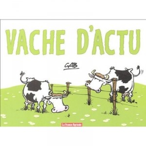 Cows news - Gab
