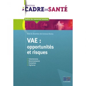 Vae , Opportunites Et Risques - Collectif