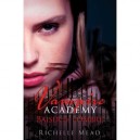 Vampire Academy T.3 : Baiser De L'ombre - Richelle Mead