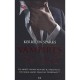 Vampires A New York T.2 , Les Morts-vivants Peuvent-ils Trouver Le Veritable Amour Dans Une Telerealite ? - Kerrelyn Sparks