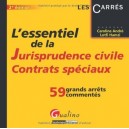 L'essentiel De La Jurisprudence Civile , Contrats Speciaux , 58 Grands Arrets Commentes (2e Edition) - Caroline Andre , Lotfi H
