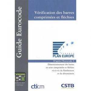 Verification Des Barres Comprimees Et Flechies - Cticm