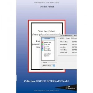 Vers La Creation D'une Prison Internationale , L'execution Des Peines Prononcees Par Les Juridictions Penales Internationales -