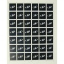 Vija Celmins The Stars /anglais - Weinberger