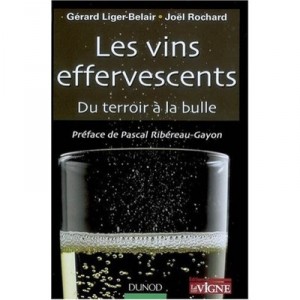 Sparkling wines, Du Terroir La Bulle - Gerard Liger-Belair, Joel Rochard