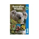 Australian Wildlife - Stella Martin