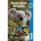 Australian Wildlife - Stella Martin