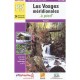 Vosges Meridionales A Pied , 88-pr-p881 - Collectif