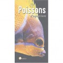 Poissons D'aquarium - P Michely