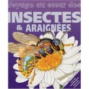 Voyage Au Coeur Des Insectes Et Des Araignees - Jan Stradling