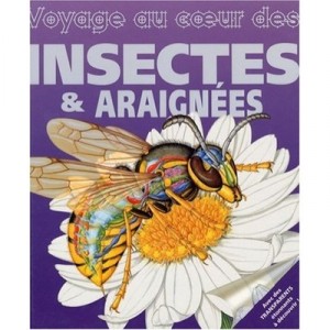 Voyage Au Coeur Des Insectes Et Des Araignees - Jan Stradling