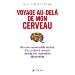 Travel Beyond My Brain - Bj Taylor