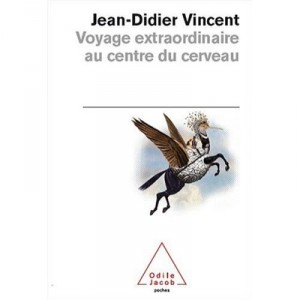 Sammy the center of the brain - Jean-Didier Vincent