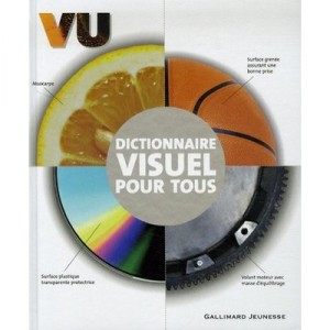 Dictionnaire Visuel Pour Tous - Collectif